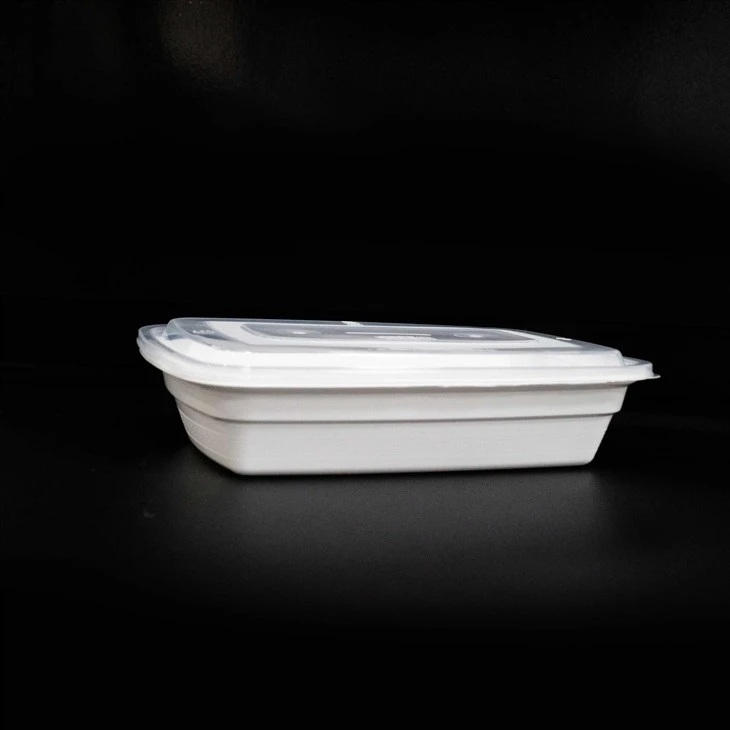 Boîtes à lunch jetables pour enfants – Parfaites pour les déjeuners scolaires