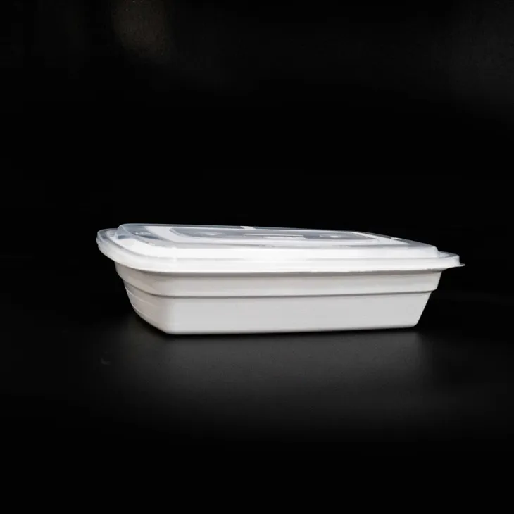 Microwave Safe Disposable Lunch Boxes with Lids - Ready for Heating (2)