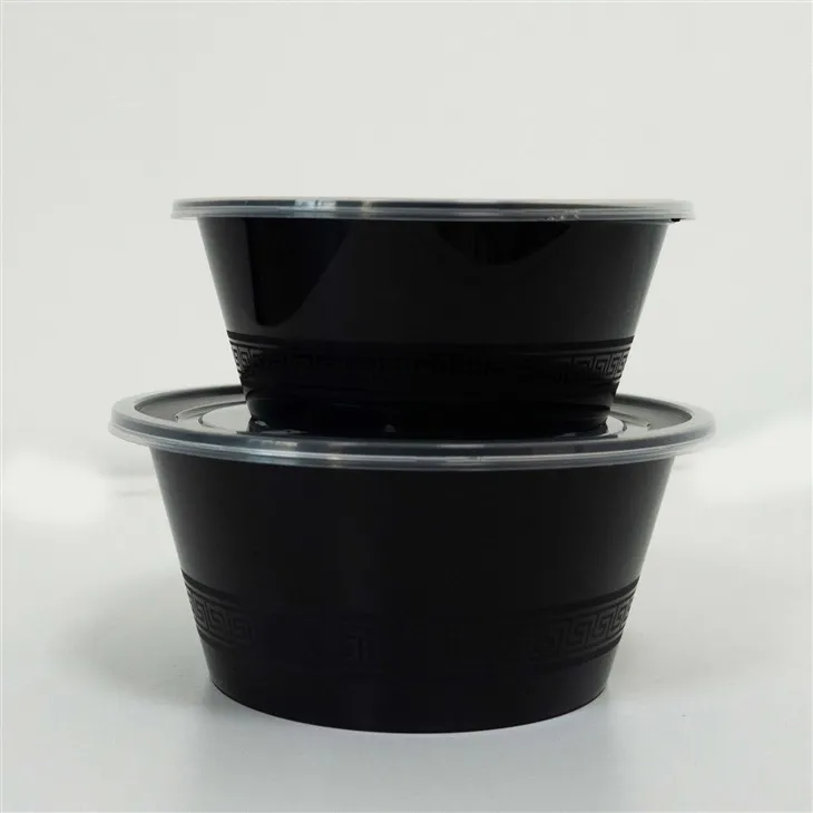 Plastic Bowls for Catering - Large Sizes for Big Events (6)