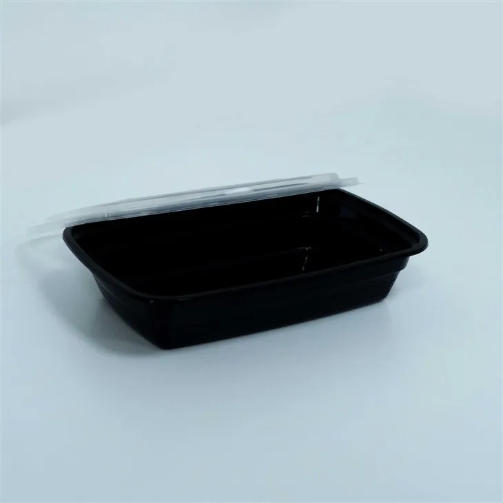 Portable Disposable Lunch Boxes with Lids - Ideal for Travel and Work (4)