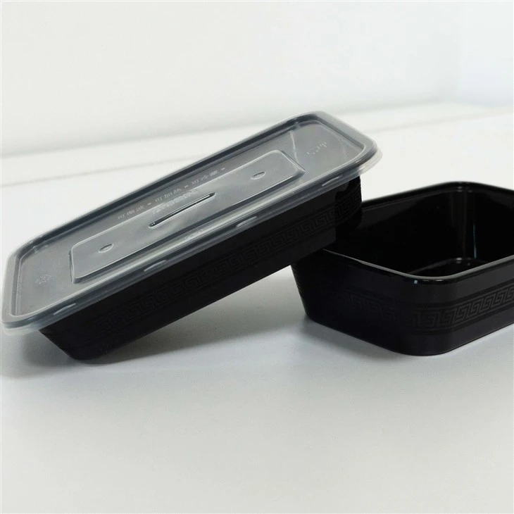Portable Plastic Food Boxes - Ideal for Outdoor and Travel Dining (3)