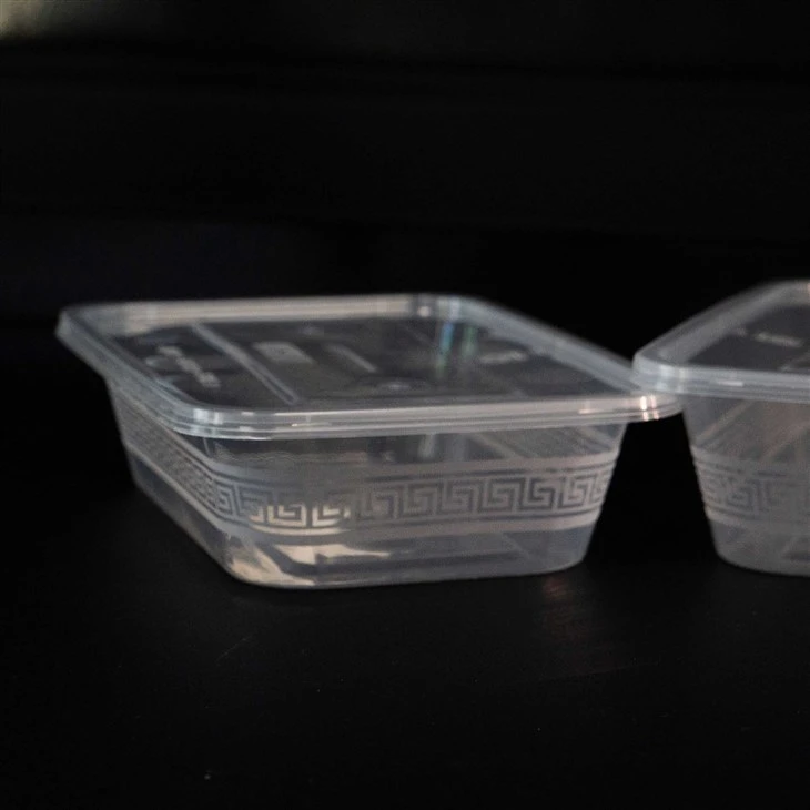 Portable Plastic Food Boxes - Ideal for Outdoor and Travel Dining (5)